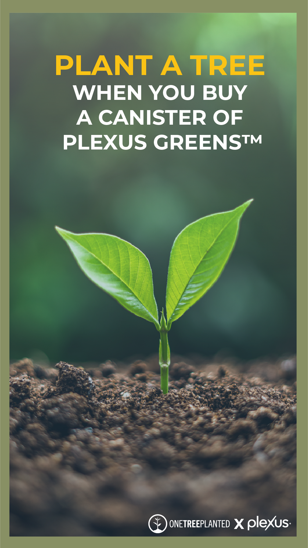 One Tree Planted Reforestation Across Canada Plexus Worldwide®
